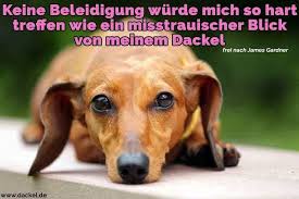Dackel Zitate Und Spruche Dackel De