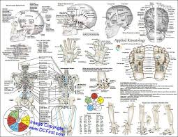 Applied Kinesiology Poster Clinical Charts And Supplies