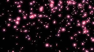 Cherry blossom flower petals falling with turbulent movements. Falling Cherry Blossom Petals Youtube