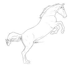 Jumping Horse Horse Drawings Horse Coloring Pages Horse Drawing