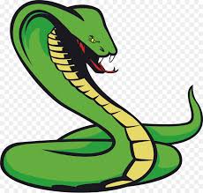 Cobra art, snake drawing reptile , serpent transparent background png clipart. Serpent Png Free Serpent Png Transparent Images 30954 Pngio