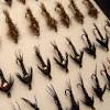 Trout flies are no different. 1