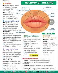 Image result for Hypolytrum