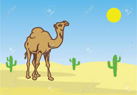 1 a large dry area with little or now plant 1. Camel In Desert Among Cactuses Royalty Free Cliparts Vectors And Stock Illustration Image 922215