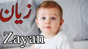 Zayan Name Meaning in Urdu