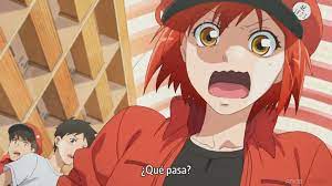 hataraku saibou globulo rojo dentro del cuerpo humano anime cuerpo humano