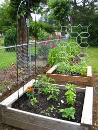 Shop now to create your own little green sanctuary! How To Make A Ladder Trellis For Tomato Plants Ikea Hack