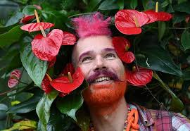 Over 5,000 Costa Rican orchid blooms tropically transform London's Kew  Gardens