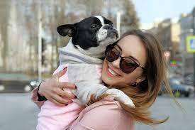 What Is The Average Lifespan Of A French Bulldog 2020 Update