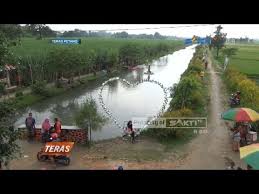 Warga desa betet ngronggot nganjuk sangat kreatif memanfaatkan lahan sungai di persawahan dijadikan tempat wisata air. Wisata Betet Nganjuk Tempat Wisata Indonesia