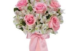 Augustine, fl 32086 delivering flowers and plants to st. Flowers By Shirley 2200 Us 1 S Saint Augustine Fl 32086 Yp Com