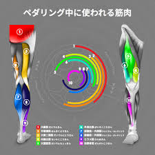 LOVE CYCLIST – ラブサイクリスト