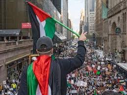 @khaby.lame, is calling out ridiculous life hacks on tiktok. Khaby Lame On Twitter A Big March In New York With Palestine Https T Co Ciwepx14m2 Twitter