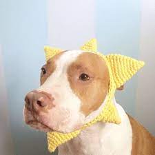 Shop Dog Headband On Wanelo Crochet Dog Clothes Dog Halloween Costumes Funny Dog Hat