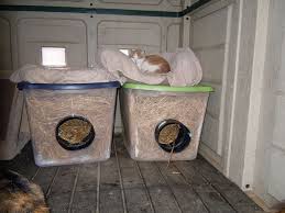 Well, not exactly outdoors — one sleeps in the attached garage. This Is Our Set Up For The Outside Cats We Converted Our Shed Into Their Shelter I Made 2 Winter She Feral Cat Shelter Outdoor Cat Shelter Cat Playground Diy