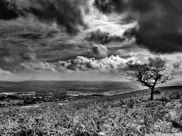 Find the perfect black and white landscape stock photos and editorial news pictures from getty images. Black And White Scenery Wallpapers Top Free Black And White Scenery Backgrounds Wallpaperaccess