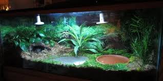 Solo S New Vivarium Tortoise Enclosure Tortoise Vivarium Red Footed Tortoise