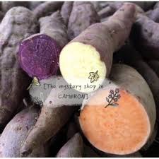 Check spelling or type a new query. Sweet Potato Keledek Ubi Madu Ubi Manis Purple Yellow Orange 1 Kg Cameron Highlands
