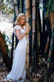 Joan Staley - Playboy Playmate, Miss November 1958