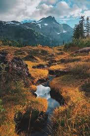 How to convert to 300x300 jpg? Adventurecore Aesthetics Wiki Fandom