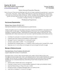 Resume Examples Key Skills Resume Templates Resume Examples Job Resume Examples Resume Skills