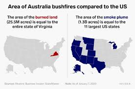 Brazil will start their campaign again today after world cup dissappointed performance. Australia Fires Have Burned 46 More Land Than 2019 Amazon Blazes