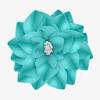 Buy fabric online from a canadian fabric shop. Https Encrypted Tbn0 Gstatic Com Images Q Tbn And9gct510w0xpjh Pursc3hycplcwozcont 51qccdclkzqdjhjnzis Usqp Cau