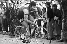 Raymond poulidor est mort le 13 novembre 2019 à l'âge de 83 ans. Mort De Raymond Poulidor Un Super Champion Une Legende Une Pluie D Hommages