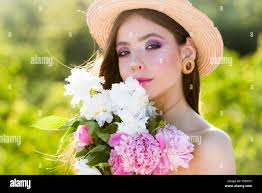 Beautiful china garden roses hi-res stock photography and images