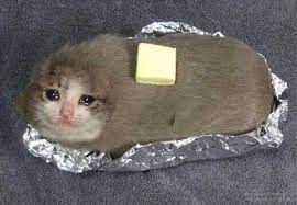 Create Meme Sad Cat Meme Crying Cat Meme Pictures Meme Arsenal Com