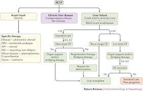 Acute On Chronic Liver Failure Terminology Mechanisms And Management Nature Reviews Gastroenterology Hepatology