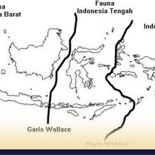 Peta persebaran flora di indonesia. Peta Persebaran Flora Dan Fauna Di Indonesia Terlengkap Borneo Channel