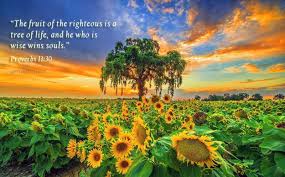 Either the fruit which grows upon christ, the tree of life, and which they receive from him; Store Of Jesus On Twitter The Fruit Of The Righteous Is A Tree Of Life And He Who Is Wise Wins Souls Proverbs 11 30 Share This Wisdom With Your Loved Ones