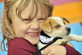 Welsh Hearts Family Summer Fair, Ynysangharad Park, Pontypridd.