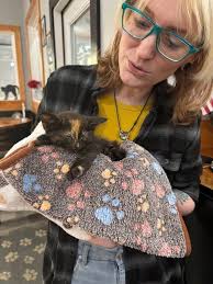 Update: 8/14 Our baby girl has a broken back leg at a growth joint. Due to  the location ….we cannot splint or cast at this time. We wait….we watch….we  pray for healing