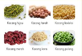 Kacang almond mengandung banyak lemak tak jenuh. Serelia Umbi Dan Kacang Kacangan Media Pembelajaran Online Guru Spensaka Smpn1kalimanah