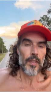 Bear in a wheelchair