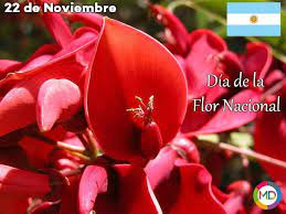 Efemerides 22 De Noviembre Dia De La Flor Nacional Flor De La Planta De Ceibo Flowers Flower Meanings Amazing Flowers