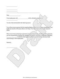 Processing fee of $3.50 (district to pay $1.75 and employee to pay $1.75) is required for this benefit. Free Termination Letter Free To Print Save Download