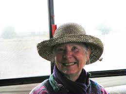 Doris Davis, Walking Across America