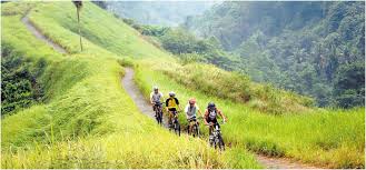 Welcome in pt wahana parts. On Your Bike The Art Of Riding A Bike In Bali Indonesia Expat