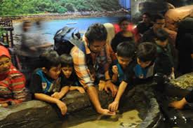 The aquaria klcc is an oceanarium located beneath kuala lumpur convention centre within kuala lumpur city centre in kuala lumpur, malaysia. Aquaria Klcc Promo 2021 Aquaria Klcc Ticket 19 Off