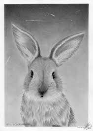 The best selection of royalty free pencil drawn realistic rabbit vector art, graphics and stock illustrations. Nami On Twitter Rabbit Berlin 2020 08 20 Https T Co Luoolkzvw6 Animal Animals Animalart World Worlddrawing Rabbit Rabbits Drawing Realistic Pencil Pencilart Portrait Pencildrawing Realism Hase Traditionalart