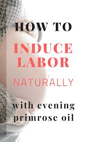 Evening Primrose Oil To Induce Labor When To Start Evening Primrose Oil Primrose Oil Induce Labor
