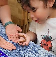 Any crocodilians ? Let me know !