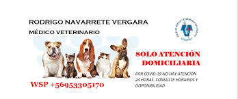 Rodrigo Navarrete. Centro Veterinario Refugio Animal, Linares