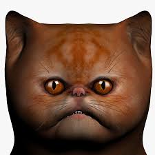Kirmizi Fars Kedisi 3d Model 10 Obj Max 3ds Fbx Free3d
