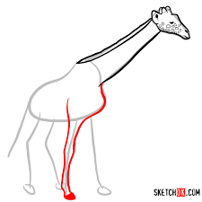 How to draw a giraffe step by step easy for kids. How To Draw A Giraffe In Full Growth Wild Animals Sketchok Easy Drawing Guides