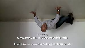 Check spelling or type a new query. Cambridge Ideas Sticky Feet Youtube