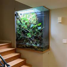 Awesome Large Wall Terrarium Design Ideas Wall Terrarium Large Terrarium Reptile Terrarium